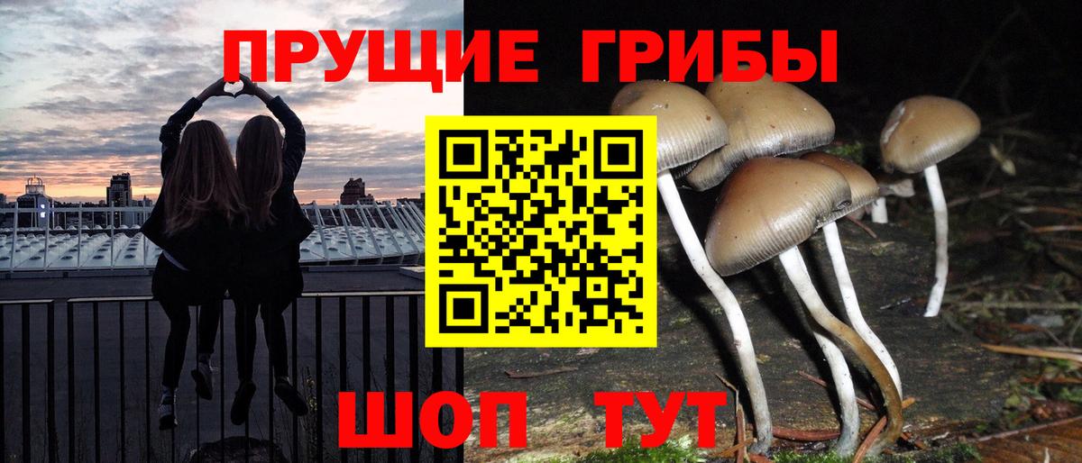 Галлюциногенные грибы мухоморы  Вход с VPN  Вязники 