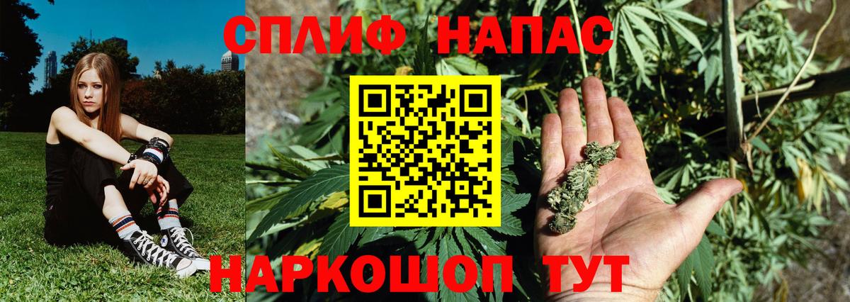 Марихуана конопля  Шишки марихуана гибрид  Вязники  Каннабис ГИДРОПОН  Канабис тримм  Вход с VPN 
